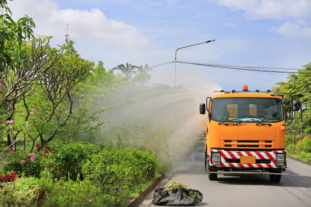 Truck watering a tree by spray water in the park at the morning.