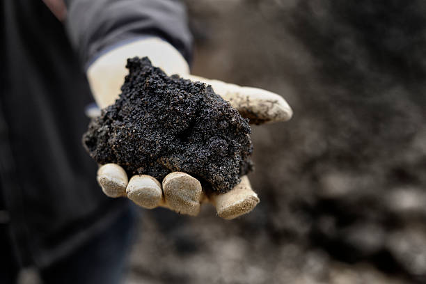 A handful of black oil rich sand from Alberta Canada.
