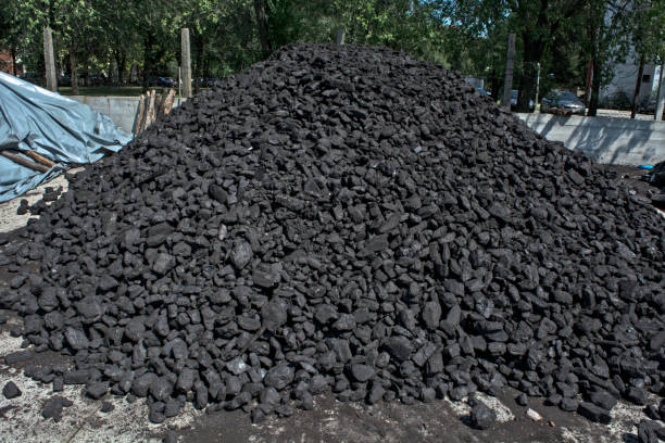 A pile of brown coal in a warehouse waiting for customers for the winter.